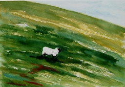 Lost Sheep