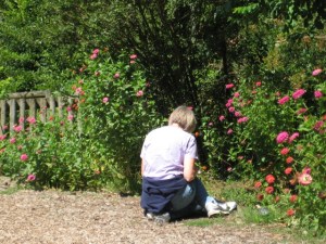 Monica sketching flowers