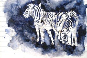 My zebra sketch